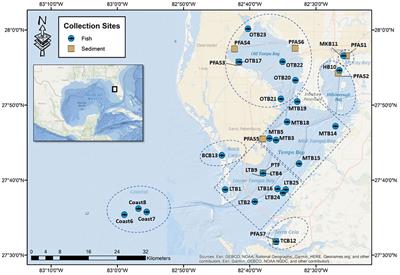 Assessing per- and polyfluoroalkyl substances (PFAS) in sediments and fishes in a large, urbanized estuary and the potential human health implications